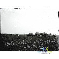 Afbeelding04-06-1927 Melkkoeien Geerlingshof F00000883